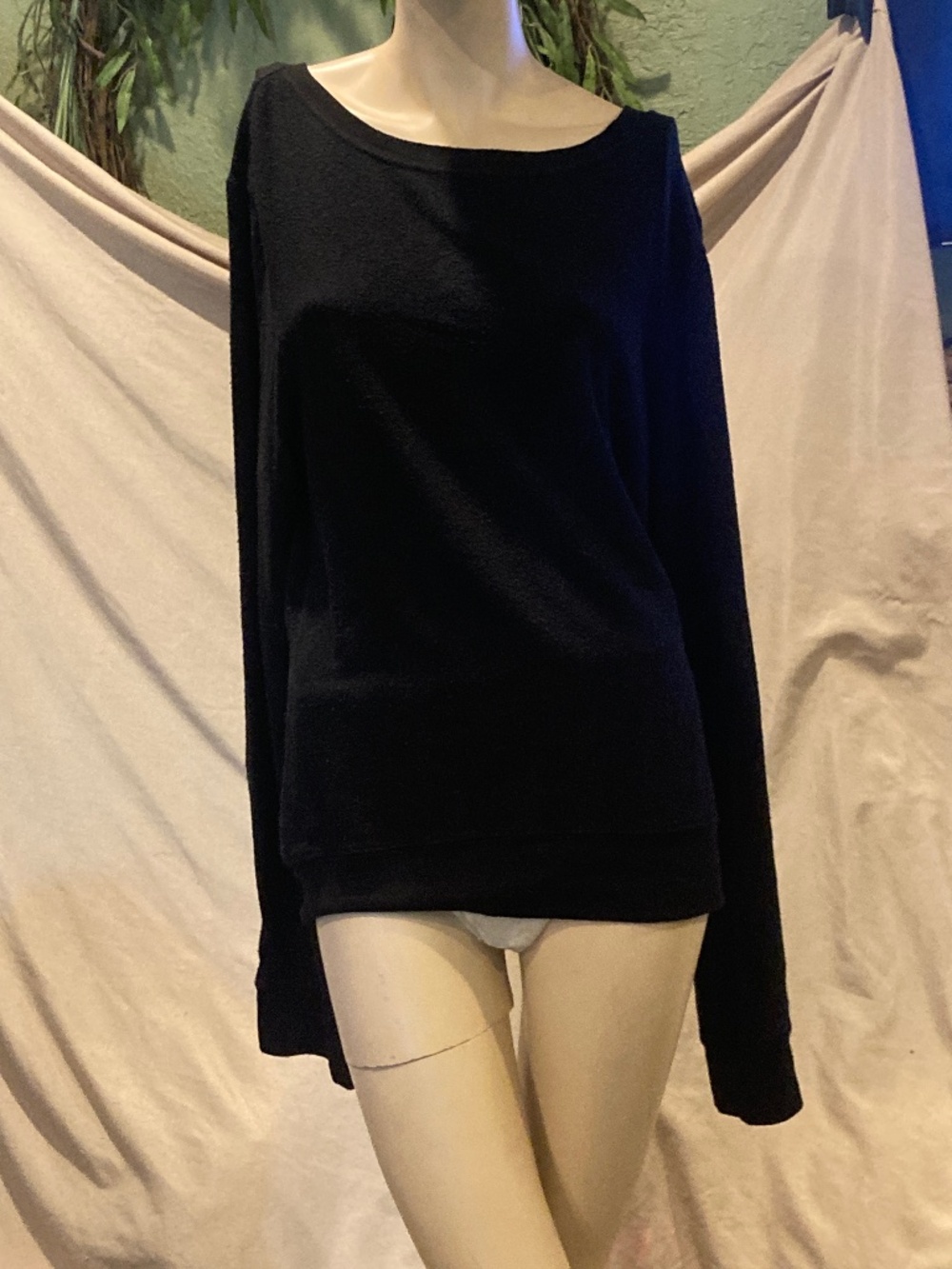 Wildfox sweatshirt
